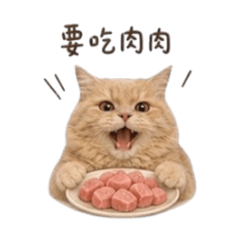 麻吉吉寶貝1