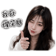 小貓咪你好2