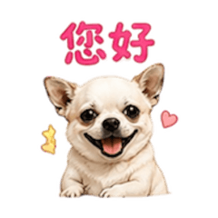 小吉蛋糕日常
