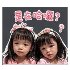 淡定姐&傲嬌咩3