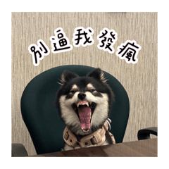 柴寶Part two