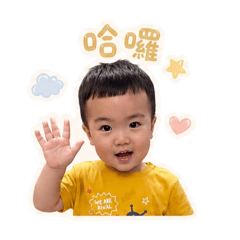 戴小豬の日常用語