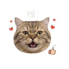 哇係阿醜
