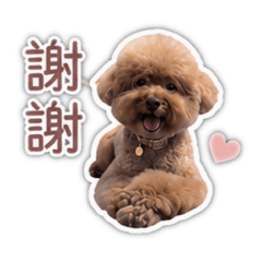 小摳的日常