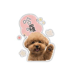 小小小不點點