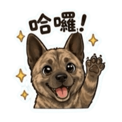 Tora的日常人生