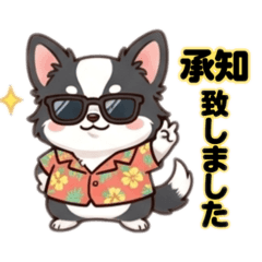 毎日使える日常会話☆チワワのココ☆24☆
