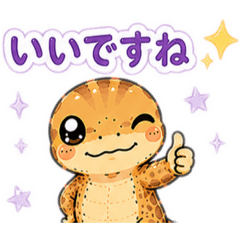 kamukano_20260602201639