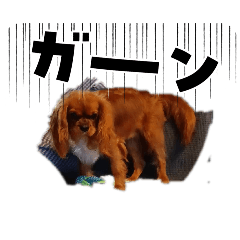 hikaru_20260602205451