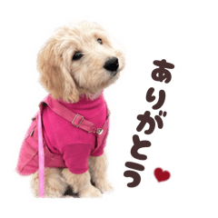 nene_20260602205848