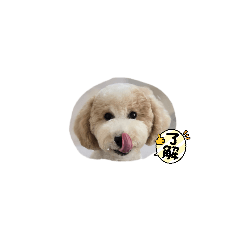mofu_20260602214903