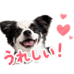coco.m.i_20260602214208