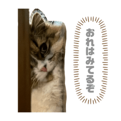 kira_20260602221847