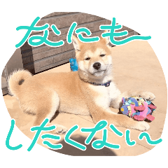 syosa_20260602221534