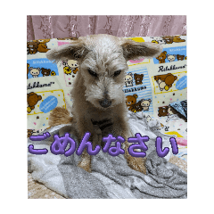 yamazakike_20260602221932