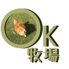 Kuri's life 2