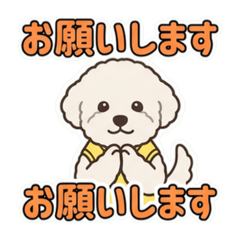 hiro_20260603052325