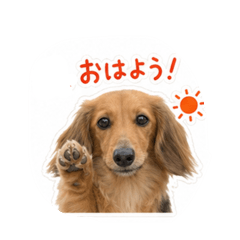 ikko_20260603064606