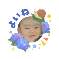 shachi_20260603070509