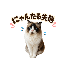 kecha_20260602183031