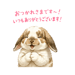 maro_20260602185528