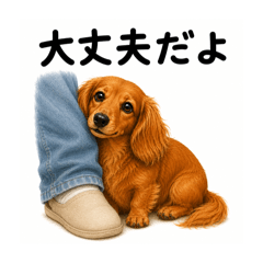 Everyday Red Dachshund Stickers