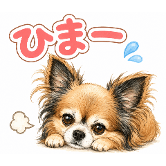 kana_20260602193741