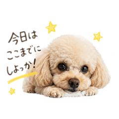 yururin_20260602204140