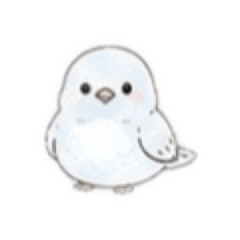 pinoco_animal