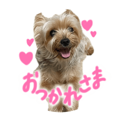 ikumi_20260602234812