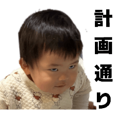 masa_20260603082014