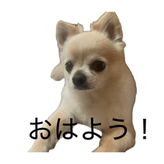 ikumi_20260603084403