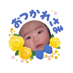 KENGO_20260603085242