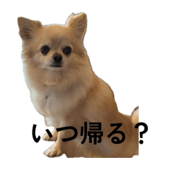 ikumi_20260603093658