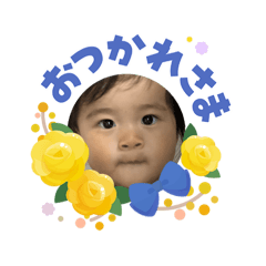 Miss_20260603101303