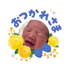 Miho_20260603103523