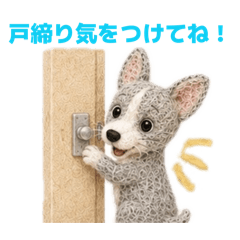 Momo_20260603103820