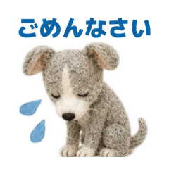 Momo_20260603105013