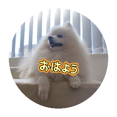 yumiha_20260603105109
