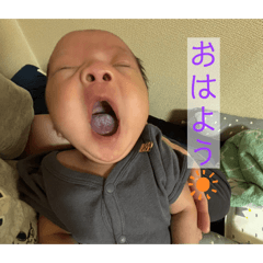 mao_20260603105323