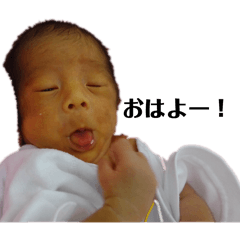 shota_20260603105436