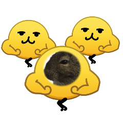 ten_20260603105439