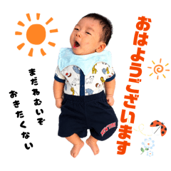 pumpkin_20260603105322