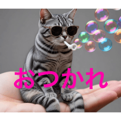 pink_20260603111550