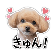 yururin_20260603112205