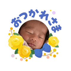 Ta-Koharu-ki2