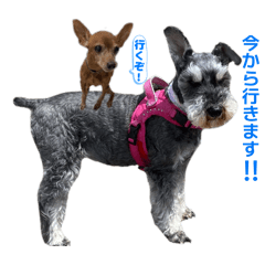 yukaina.inu