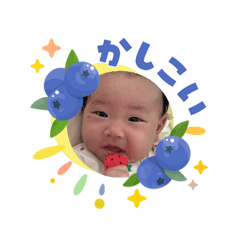 kaki_20260603132919