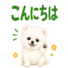 Animal Series 3: Dog (Pomeranian)