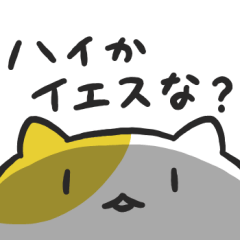 Mochi Cats (Too Close)